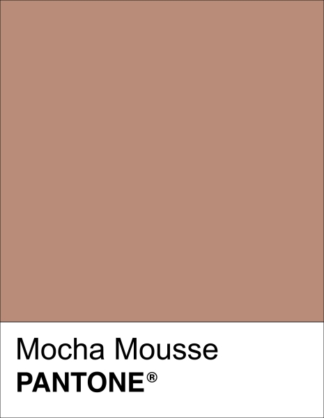  Цвет 2025-го года – мокка мусс 