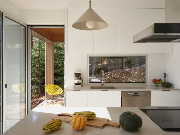 Шале, вдохновленное морфологией места Шале, вдохновленное морфологией места